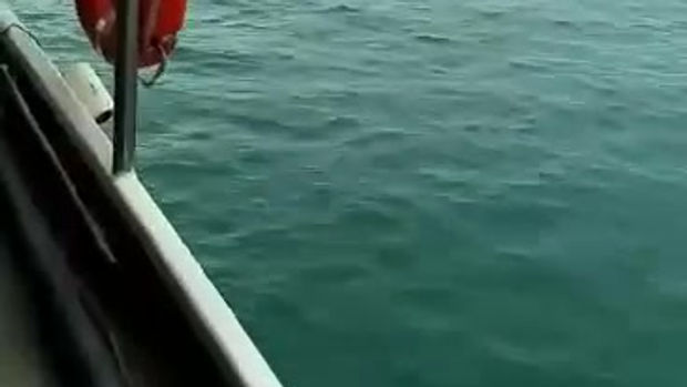 video-1521374249